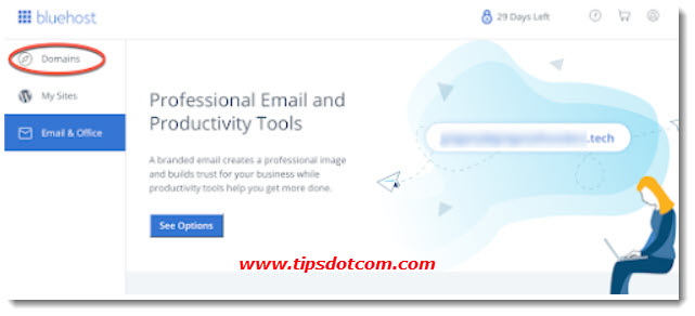 Bluehost domain panel Bluehost domain panel