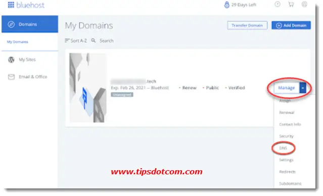 Bluehost domain DNS Bluehost domain DNS