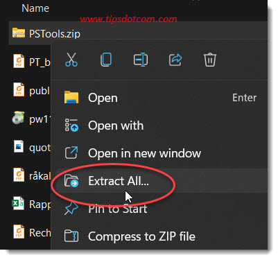 Extract pstools zip archive Extract pstools zip archive