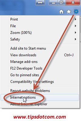 How to Delete Internet History Step 06