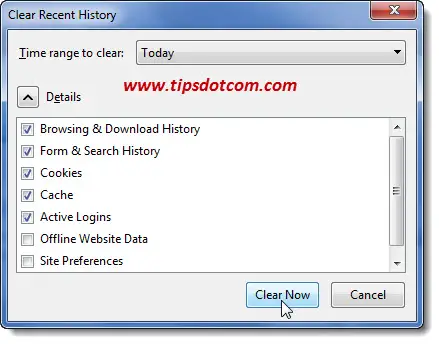 How to Delete Internet History Step 11