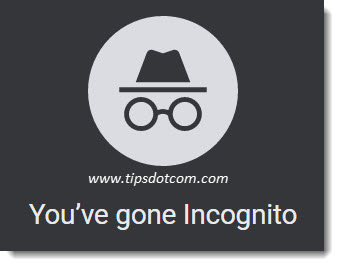 Browsing in a private session window Browsing in a private session window