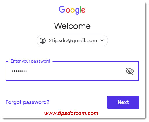 Enter your Gmail account password