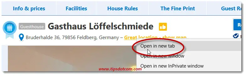 Tabs in Microsoft Edge 03 Tabs in Microsoft Edge 03