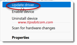 Update driver in Windows 11 device manager Update driver in Windows 11 device manager